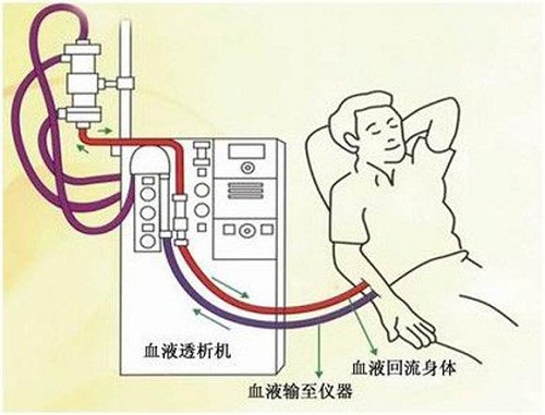 医用超纯水机